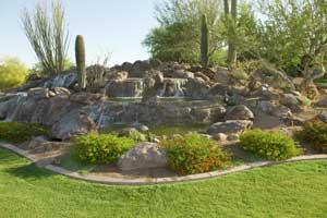 Landscape Service Scottsdale