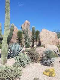 Rockscapes Scottsdale