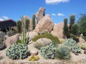 Scottsdale AZ Landscapers by Desert Environments Scottsdale AZ Landscapers