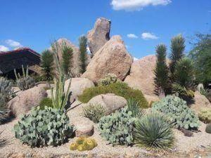 Scottsdale AZ Landscapers