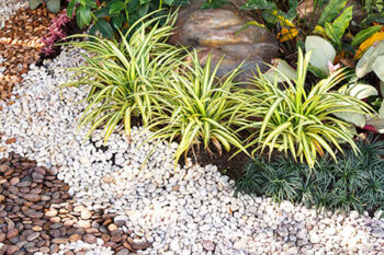 Custom Landscaping In Phoenix