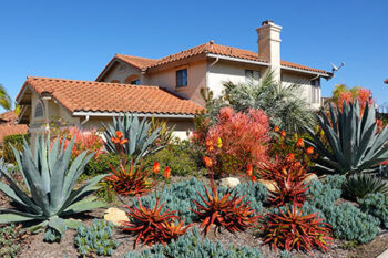 Landscape Service Phoenix