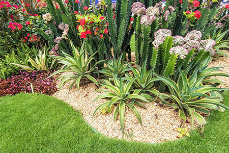 Desert Landscape Paradise Valley