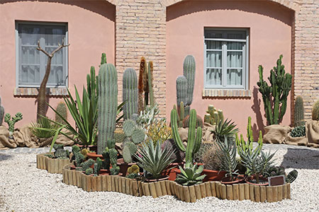 Landscape Design Paradise Valley Landscape Design Paradise Valley