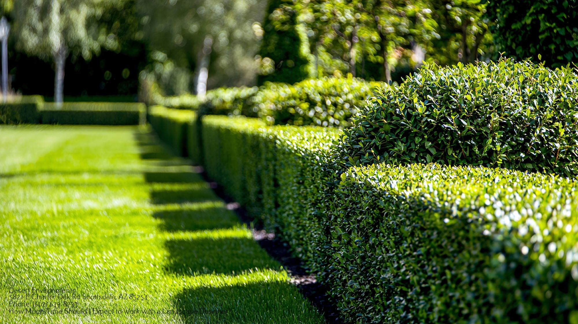 Landscape Designer Scottsdale AZ