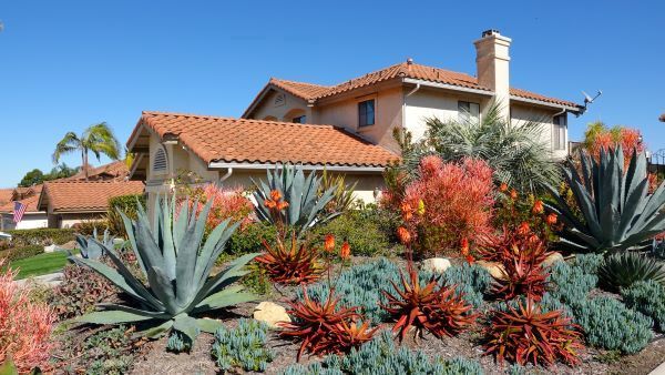 Landscape Designer In Scottsdale Arizona