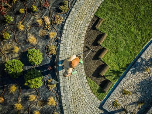 How To Plan Your Yard With Microclimates In Mind