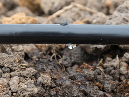 Installing A Drip Irrigation System