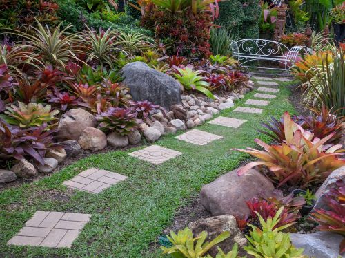 Plants For Different Microclimates