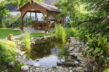 Landscape Designer Scottsdale Az
