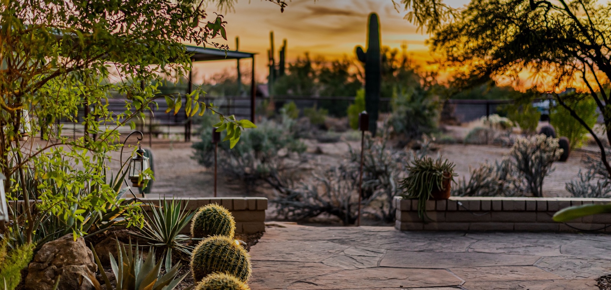 Landscape Designer Scottsdale AZ Landscape Designer Scottsdale AZ